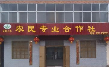 村合作社述职报告7篇
