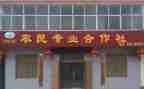 村合作社述职报告7篇