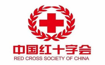 红十活动总结报告参考7篇