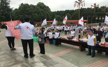 红十字工作总结7篇