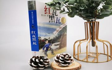 《红瓦黑瓦》的读后感7篇