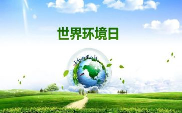 环境日活动的总结8篇