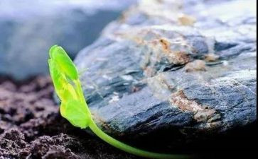 护理唤醒是心得体会5篇