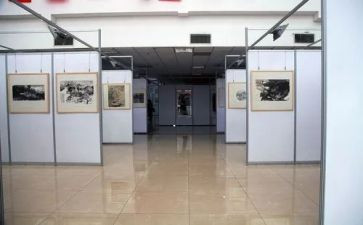 看画展活动方案策划8篇