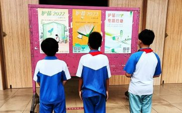 《护苗行动》观后感5篇