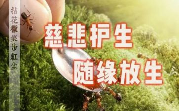 保护生态的作文8篇