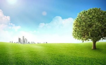 户外活动游戏活动方案最新8篇