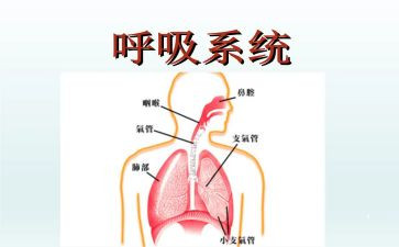 呼吸科护士工作总结7篇
