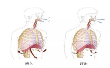 呼吸内科护士述职报告6篇