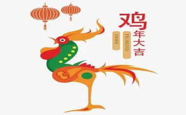 关于鸡的活动方案推荐7篇