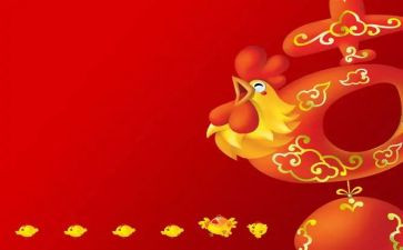 关于鸡的调查报告参考6篇
