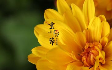 传统佳节春节作文5篇