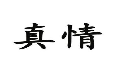真情实感的作文精选8篇