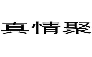 真情实感的作文8篇