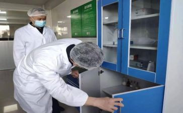 检验工作总结参考8篇