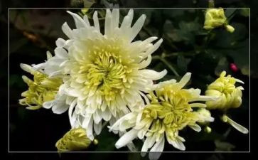 清明节祭奠先烈活动方案7篇