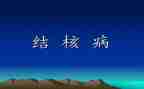 结核病防治工作总结范文6篇