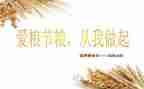 青春节粮心得体会精选7篇