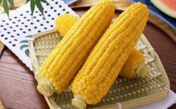 玉米幼儿园教案8篇