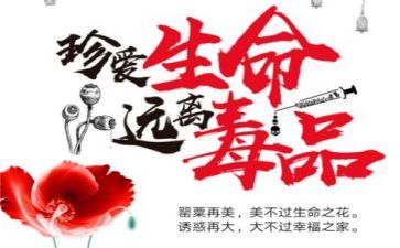 写禁毒知识心得体会5篇