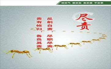 履职尽责及工作总结7篇