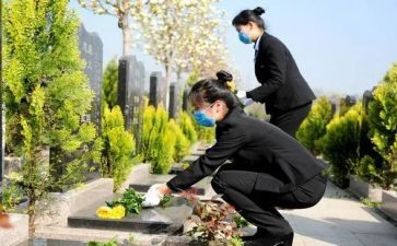 清明祭扫墓活动总结8篇