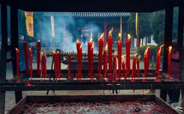 清明祭祖心得体会5篇
