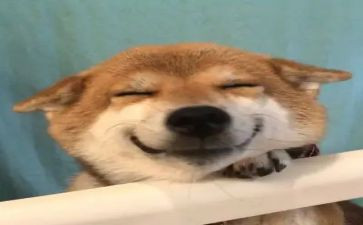 写我真开心作文500字参考7篇
