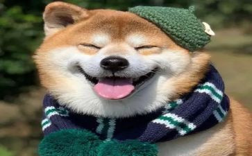 我开心作文600字6篇