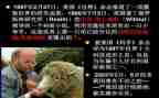 写克隆的作文400字8篇