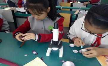 小小班科学课教案通用5篇