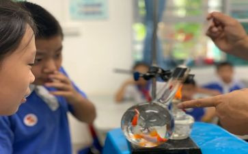小学科学课培训心得体会范文6篇