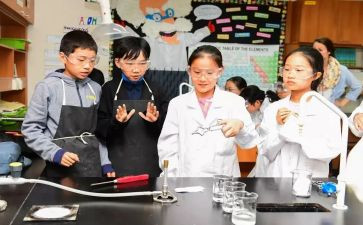 大班科学课活动总结5篇