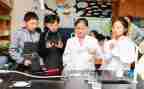 大班科学课活动总结5篇