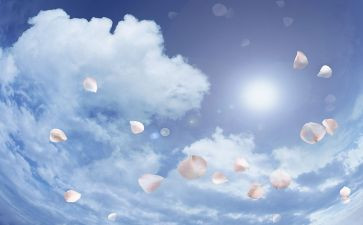空气炮教案5篇
