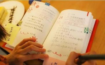 小学教师的苦与乐演讲稿精选6篇