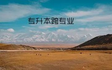 会计跨专业实习报告5篇
