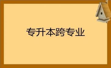 会计跨专业实习报告最新8篇