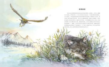 狼王梦读后感推荐7篇