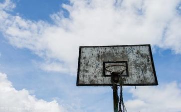 篮球社的活动总结5篇