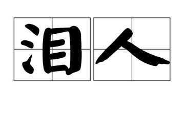 小木偶的泪读后感优质8篇