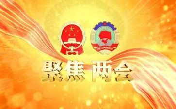 22两会心得体会5篇