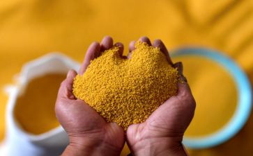 幼儿园粮食日主题活动方案5篇
