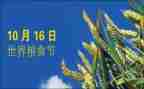 粮食节活动总结通用8篇