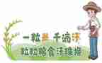 粮食节活动总结7篇