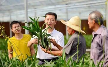 廖俊波的心得体会6篇