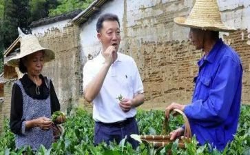 廖俊波心得体会7篇