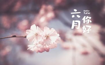 乡六月工作总结模板5篇