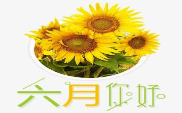 六月报告总结5篇