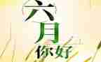 幼儿园大班六月工作总结5篇